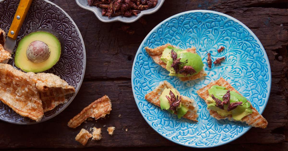 フルレースプレート 20cm | アンティークテイストの総レース柄