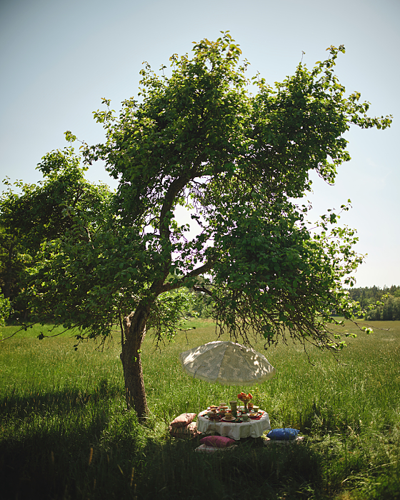 新緑が美しい広大な野原に立つ大きな木の下で、マテュースの食器を並べて楽しむ春のピクニック風景